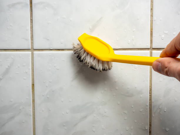 Best Professional Mold Removal  in Roscoe, TX