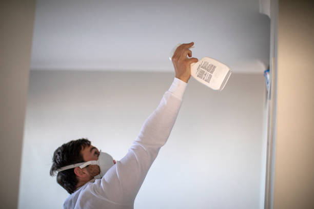 Best Commercial Mold Removal  in Roscoe, TX