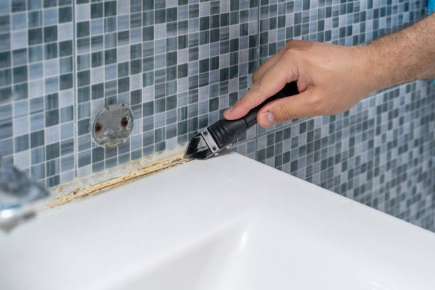 Best Attic Mold Removal  in Roscoe, TX