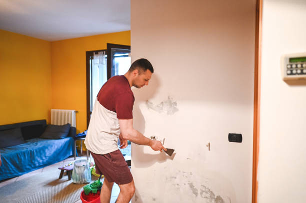 Best Mold Inspection  in Roscoe, TX